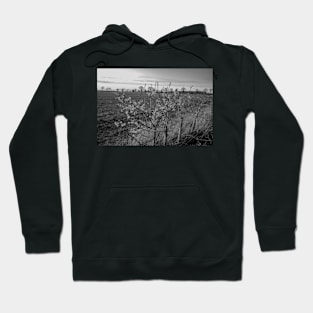 Hedge row in the countryside at dusk Hoodie